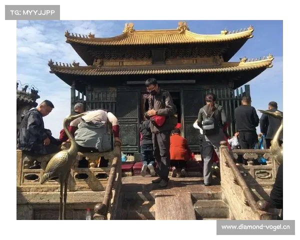 问道手游力土攻略、问道手游力土怎么样:问道手游力土进阶攻略:打造坚不可摧的肉盾 问道手游力土攻略、问道手游力土怎么样:问道手游力土进阶攻略:打造坚不可摧的肉盾